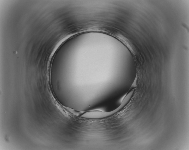 X0000097971148200804141045