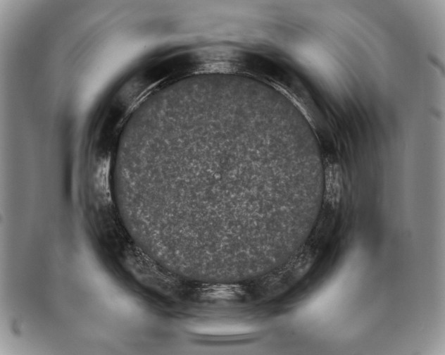 X0000097971150200804141045