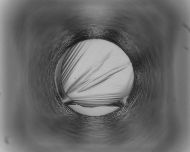 X0000097971153200804141045