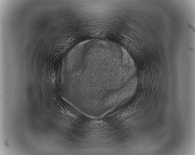 X0000097971154200804141045