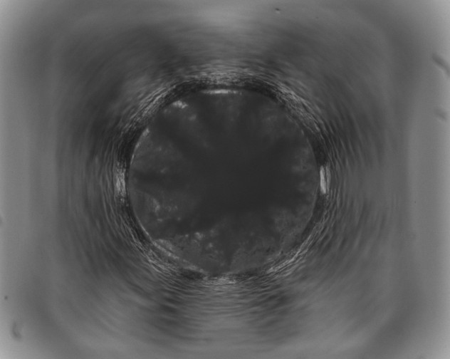 X0000097971155200804141045