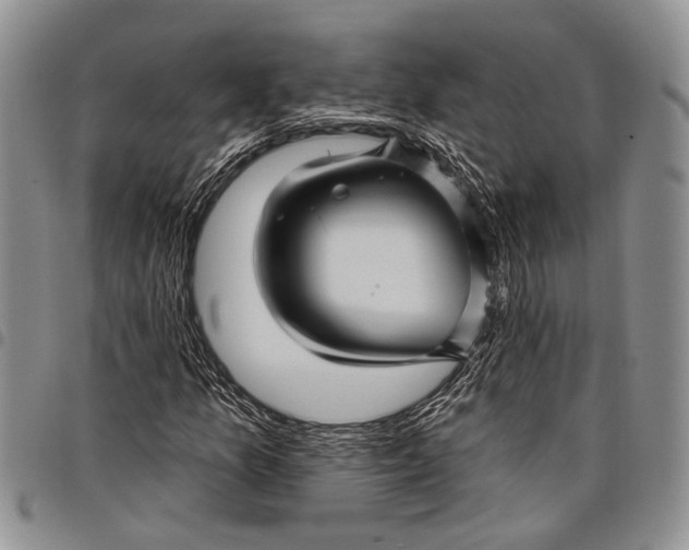 X0000097971157200804141045