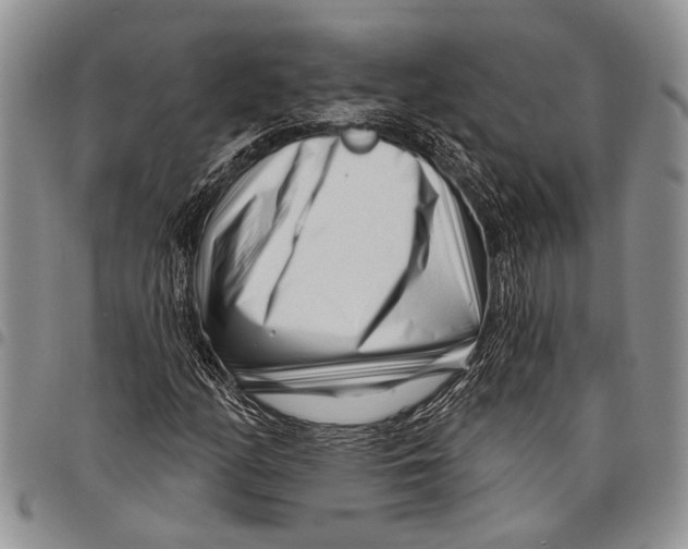 X0000097971158200804141045