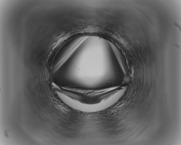 X0000097971160200804141045
