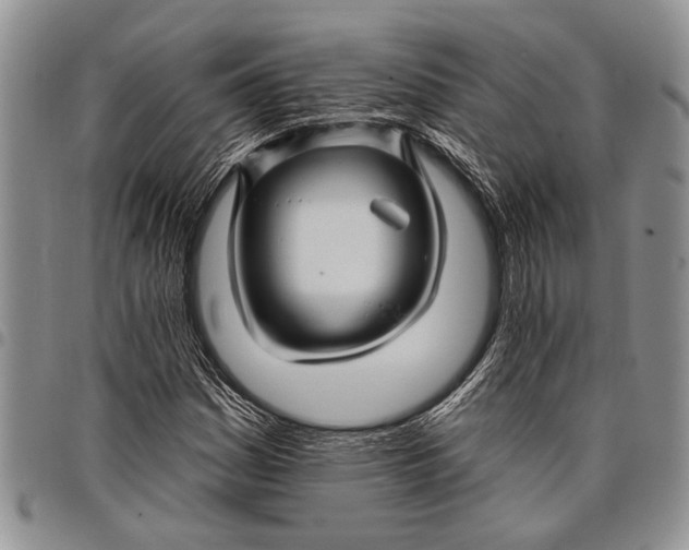 X0000097971161200804141045