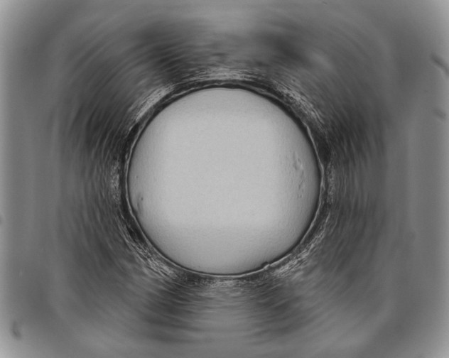X0000097971162200804141045
