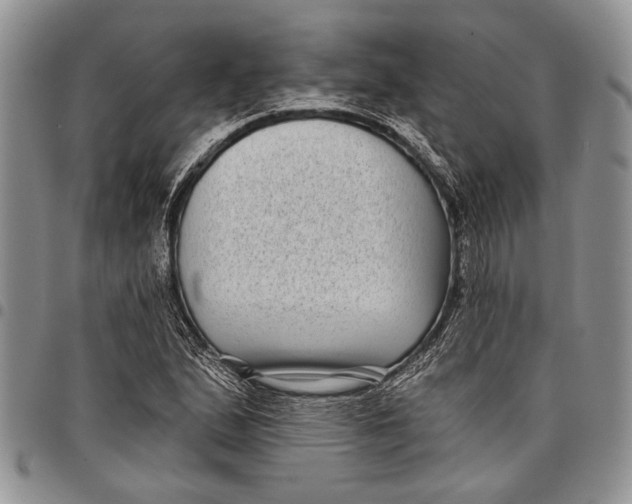 X0000097971167200804141044