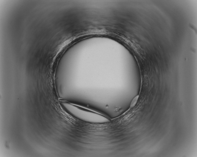 X0000097971168200804141044