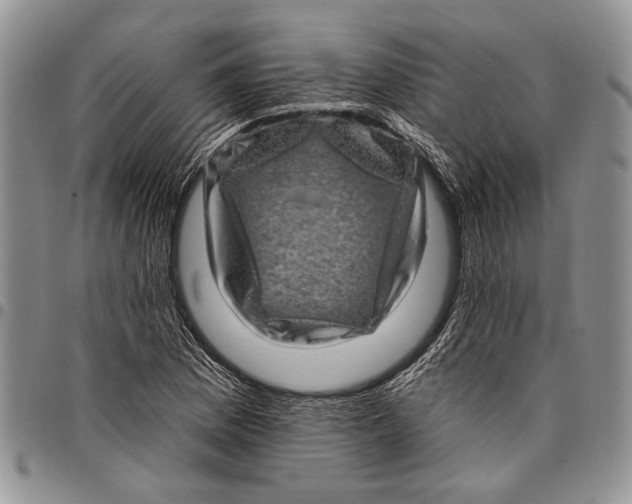 X0000097971169200804141044