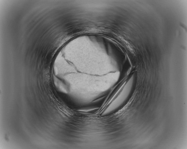 X0000097971170200804141044