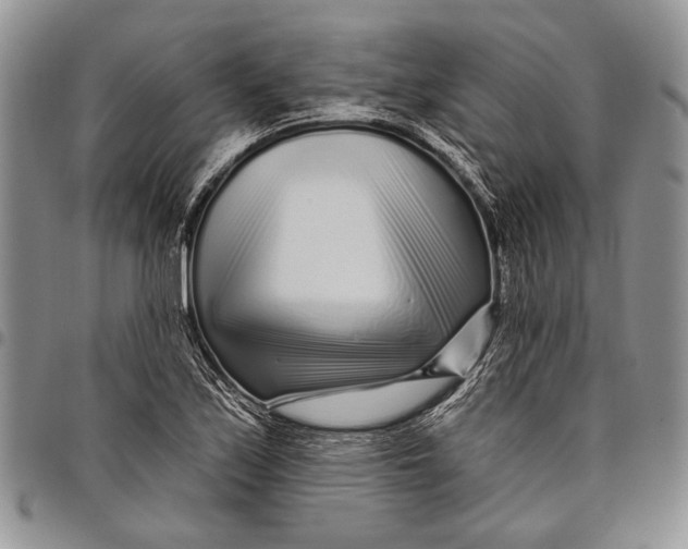 X0000097971171200804141044