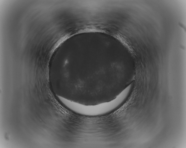 X0000097971173200804141044