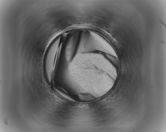 X0000097971174200804141044