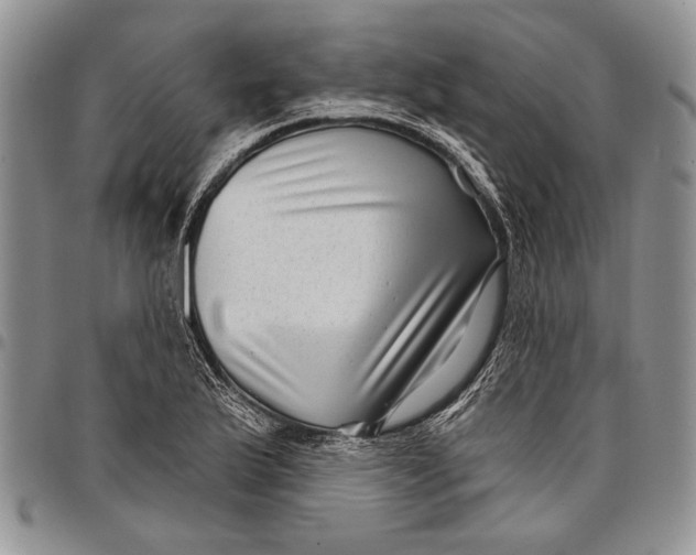 X0000097971175200804141044