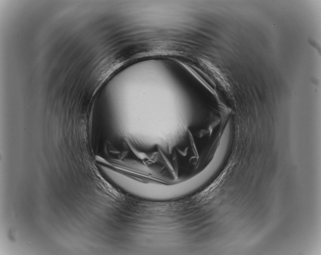 X0000097971177200804141044