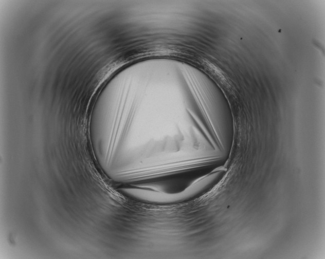X0000097971178200804141044