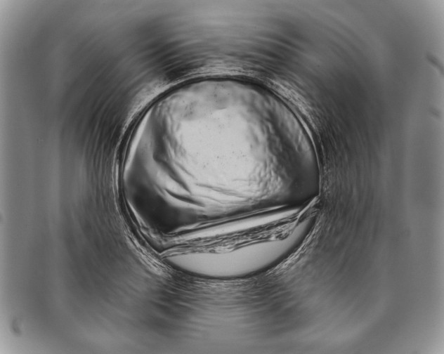 X0000097971179200804141044