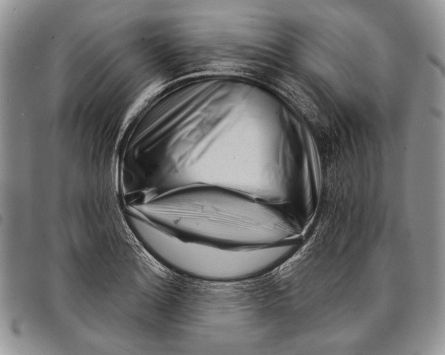 X0000097971180200804141044