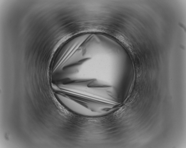X0000097971181200804141044