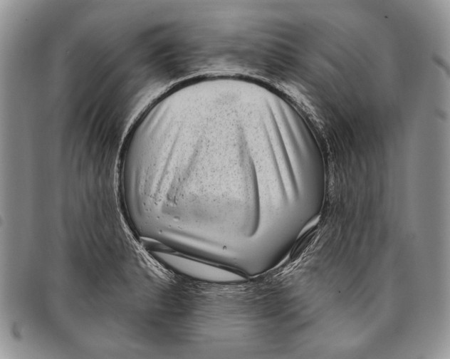 X0000097971183200804141044