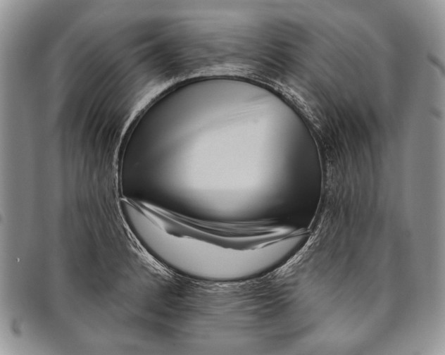 X0000097971184200804141044