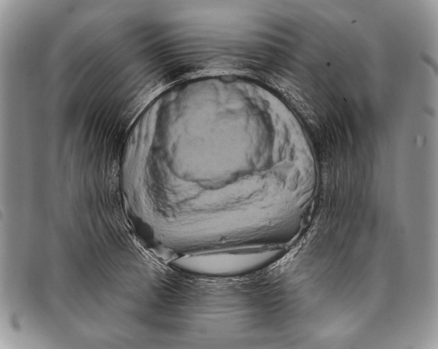 X0000097971185200804141044