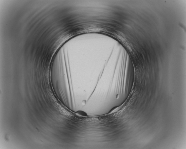 X0000097971186200804141044