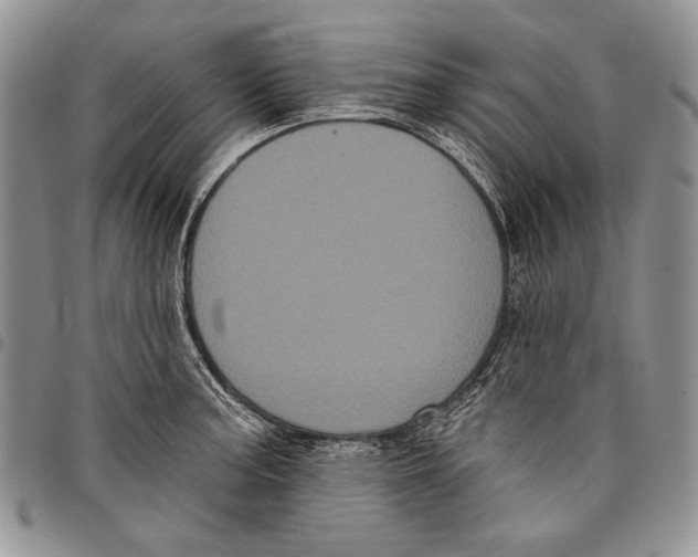 X0000097971187200804141044