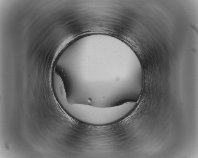 X0000097971188200804141044