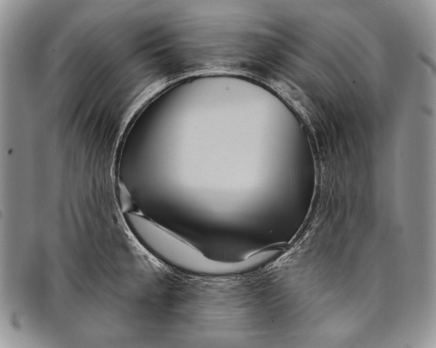 X0000097971189200804141044