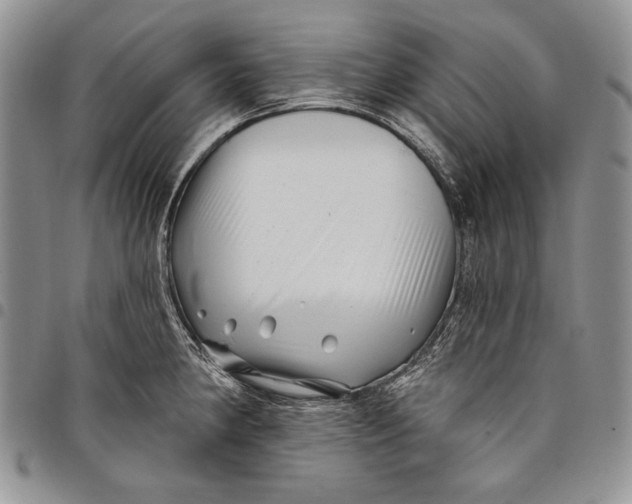 X0000097971190200804141044