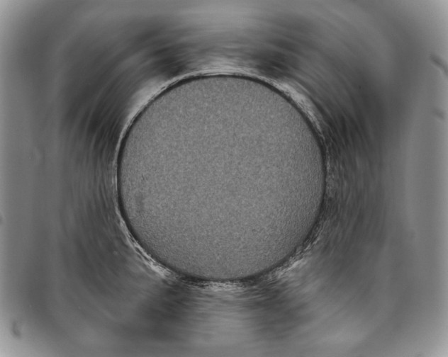 X0000097971191200804141044