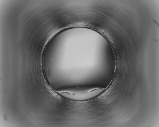 X0000097971192200804141044