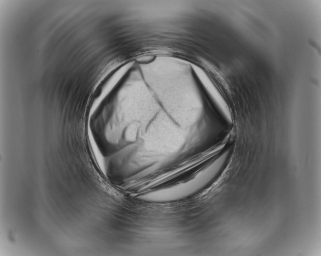 X0000097971194200804141044