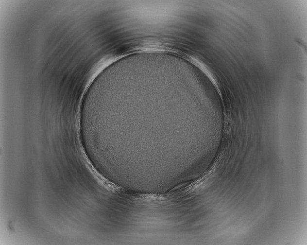 X0000097971195200804141044