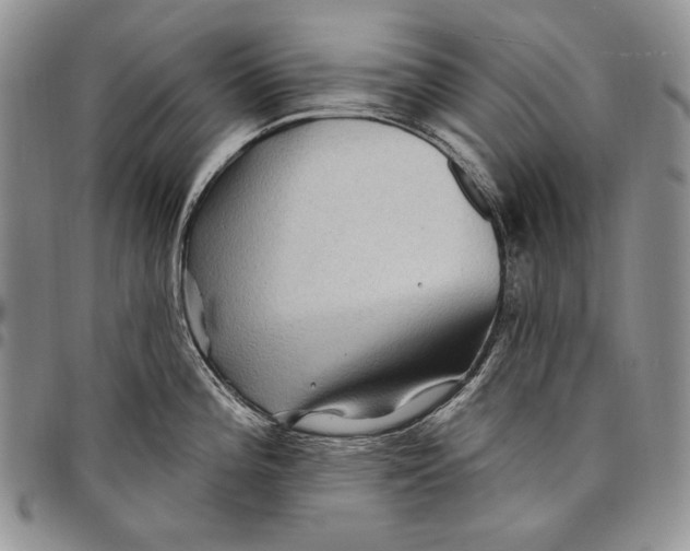 X0000097971196200804141044