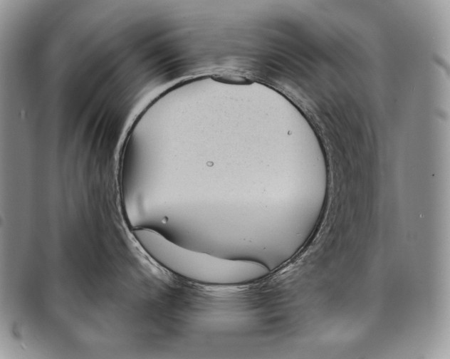 X0000097971200200804141044