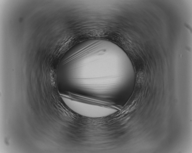 X0000097971202200804141043