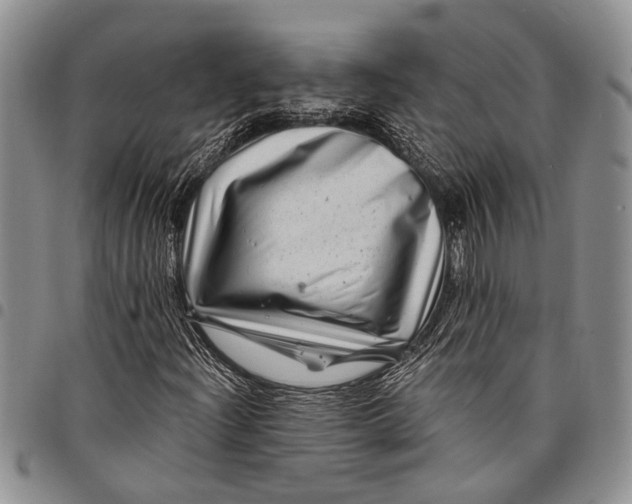 X0000097971204200804141043