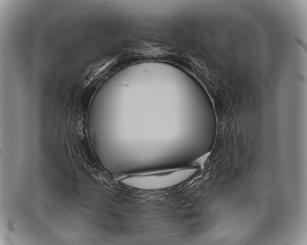 X0000097971205200804141043