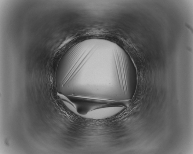 X0000097971206200804141043