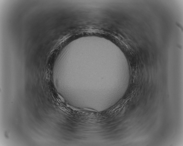 X0000097971207200804141043
