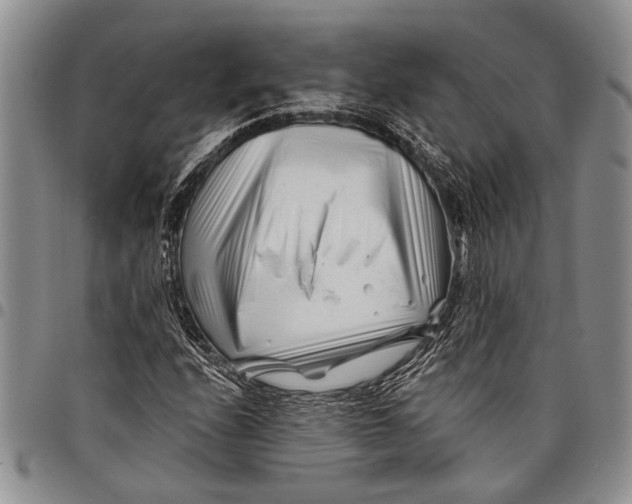 X0000097971208200804141043