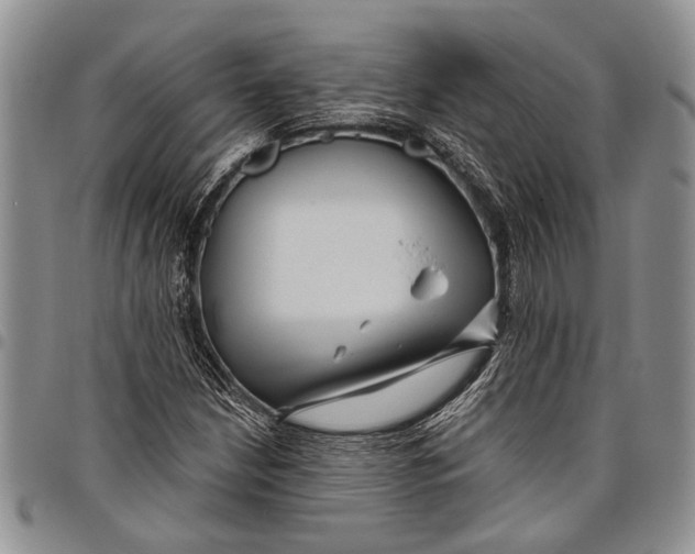 X0000097971210200804141043