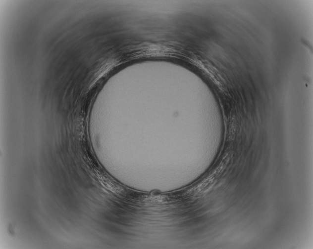 X0000097971211200804141043