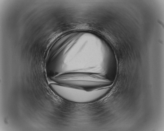 X0000097971212200804141043