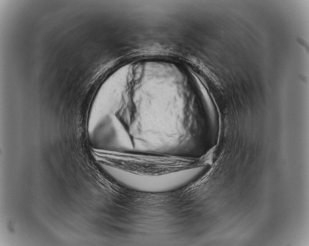 X0000097971213200804141043
