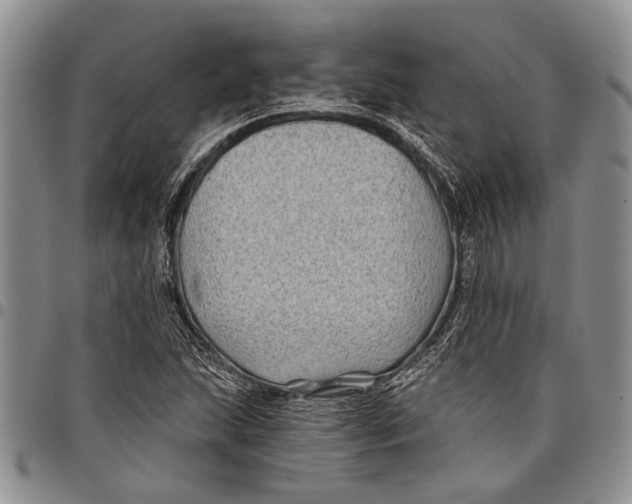 X0000097971215200804141043