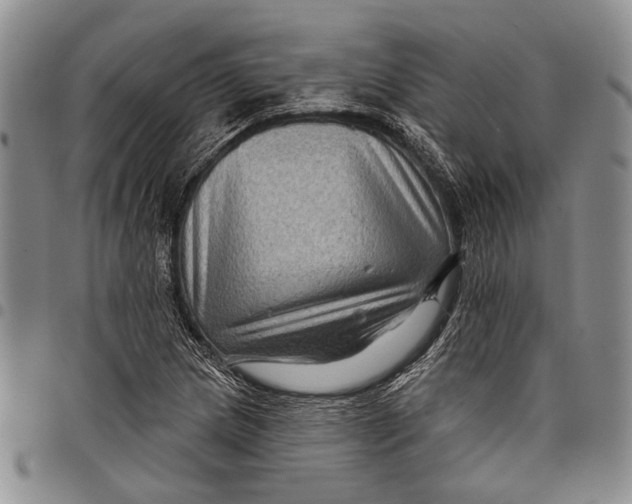 X0000097971217200804141043