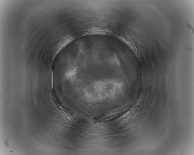 X0000097971219200804141043